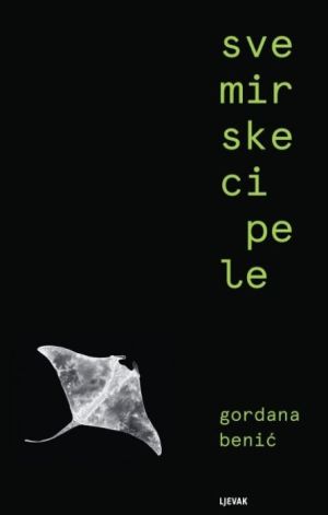 Svemirske cipele