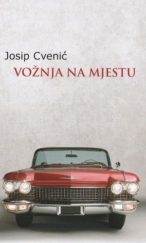 Vožnja na mjestu