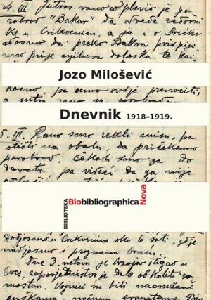 Dnevnik 1918.-1919.