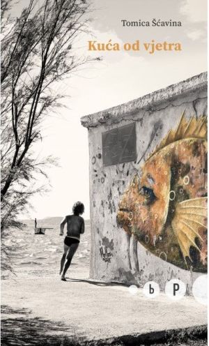 Kuća od vjetra