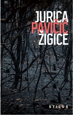 Žigice