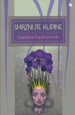 Smrznute kupine