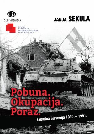 Pobuna: Okupacija: Poraz
